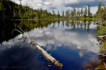 Prášilské jezero (© Zdeněk Vopěnka 08/2020)