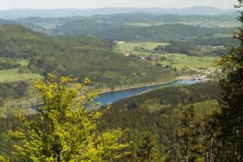 Vodní nádrž Lipno II (© Tomáš Droppa  05/2020)