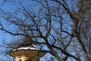  ( © Petr Turyna 12.3. 2005)