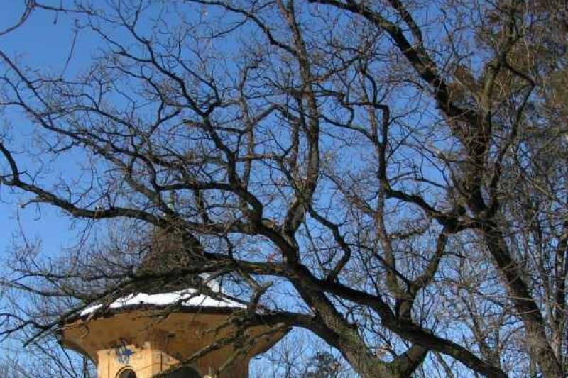 Cibulka - Čínský pavilon