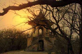  (2003 ©Jiří Marounek)