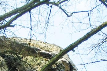Jestřebí 29.3.2014 (© Emanuel Toman, 03/2015)