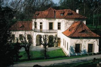 Vojtěška (© Hana Kubikova 5/2005)