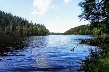 VN Stanovice (© Štěpán Kollarov 07/2021)