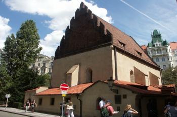  ( © Milan Caha 07/2008)