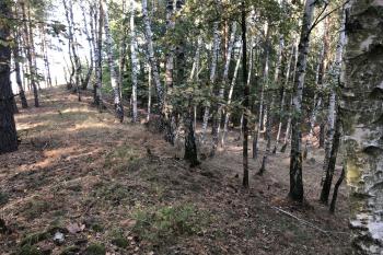 hradiště Luhov (© anonym 09/2018)