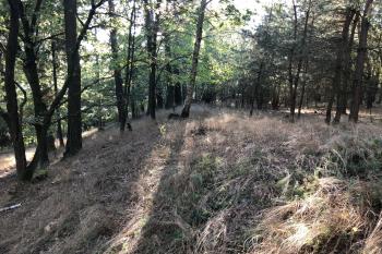 hradiště Luhov (© anonym 09/2018)