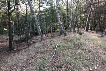 hradiště Luhov (© anonym 09/2018)