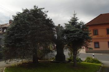  (© Marcela Váňová  09/2022)