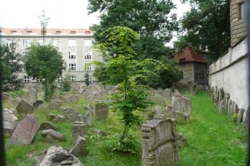 Starý židovský hřbitov  (© Jaroslav Šefčík, 06/2009)