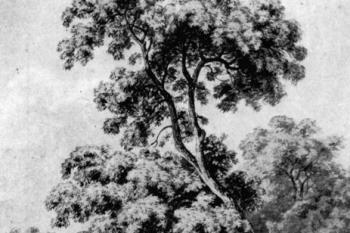 náhrobek Meira Fischla, akvarel ( © Antonín Mánes (in Arno Pařík: Starý židovský hřbitov v Praze v díle českých krajinářů 19. století, Umění, roč. 32, č. 6, Academia, Praha 1984))