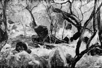 Studie ze Starého židovského hřbitova (© Vojtěch Hynais, 1877 (in Arno Pařík: Starý židovský hřbitov v Praze v díle českých krajinářů 19. století, Umění, roč. 32, č. 6, Academia, Praha 1984))