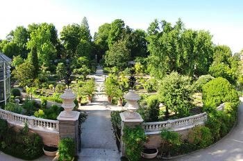 Botanická zahrada v italské Padově. (© Pavel Vítek 05/2001)