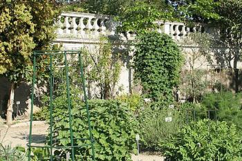 Botanická zahrada v italské Padově. (© Pavel Vítek 05/2001)