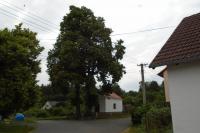 kaple