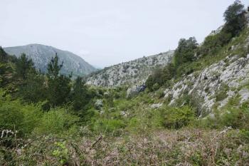  (© Pavel Semple 04/2022)