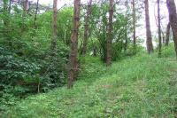 Biskupice