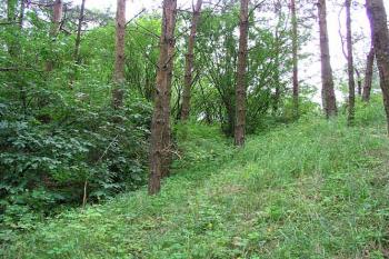 Polozasypaný příkop oddělující tvrz od přístupové šíje ( © Roman Řezáč 07/2004)
