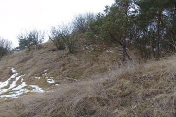 Zbytek příkopu pod jádrem na východě ( © Roman Řezáč 12/2005)
