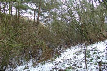 Zachovalý příkop mezi jádrem a předhradím ( © Roman Řezáč 12/2005)