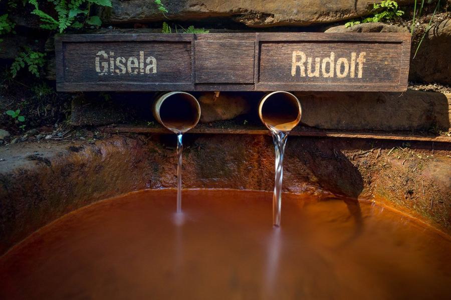 Giselin, Rudolfův a Vincentův pramen