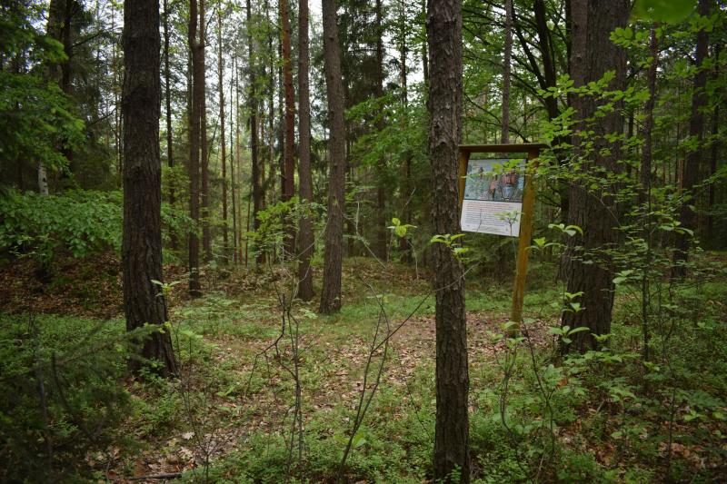 Loučná Loučná