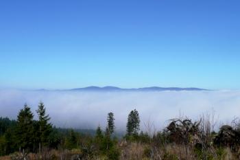 panorama vrcholků masívu Králického Sněžníku ze Suchého vrchu za inverze ( © Jan P. Štěpánek 11/2008)