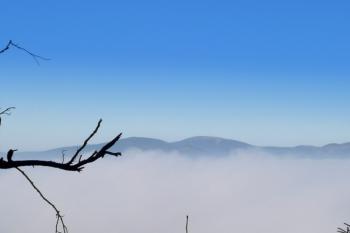panorama masívu Králického Sněžníku a jeho sousedních vrcholků ze Suchého vrchu ( © Jan P. Štěpánek 11/2008)