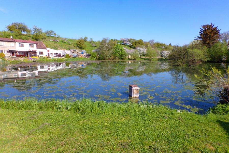 Třebešovský rybník