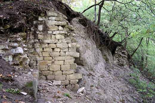 Šebín