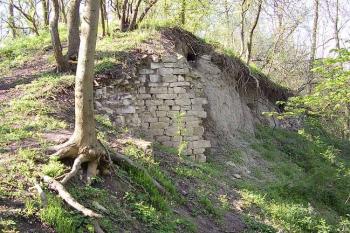 Šebín (© Jan Laurýn, 2006)