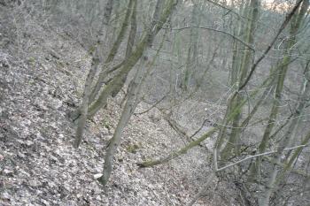  (© Prudký Martin, 03/2010)