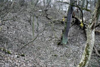 Příkop severně od středověkého hradu Šebína (© Prudký Martin, 03/2010)
