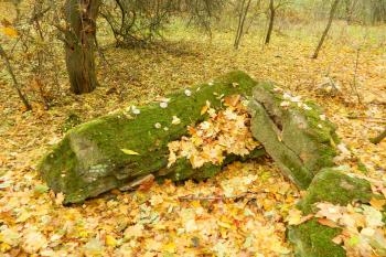 Libovice-místo býv. zámku Beyerovka (© Jiří Suchomel 11/2015)