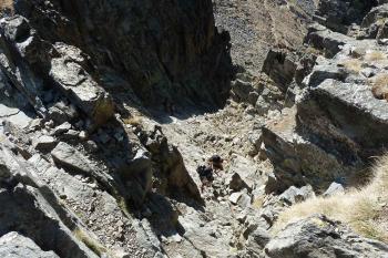  (© Pavel Semple 09/2012)