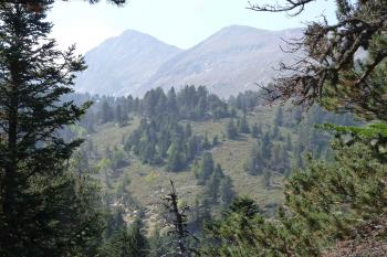  (© Pavel Semple 09/2012)