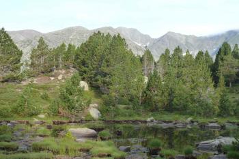  (© Pavel Semple 09/2013)