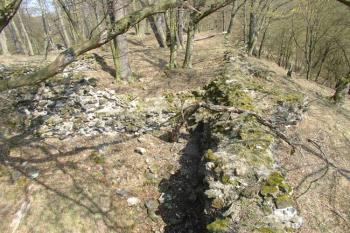  ( © Jiří Čížek 04/2007)