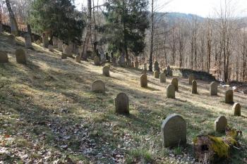 Řebří (© Radek Vicherek 03/2025)