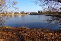 Holohlavský rybník