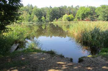 Mlýnský rybník (© Boris Jelínek 07/2021)