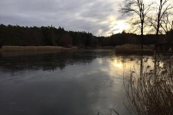 Mlýnský rybník - Běleč (© Jan Hnátek  02/2020)