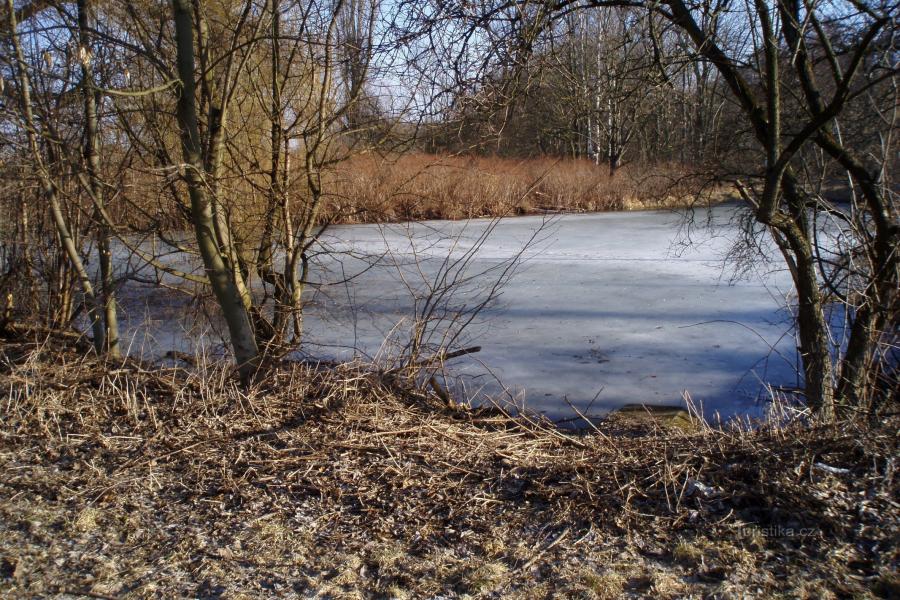 Březhradský rybník