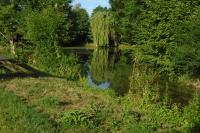 Březhradský rybník