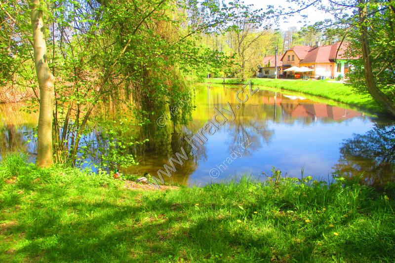 Březhradský rybník Březhradský rybník