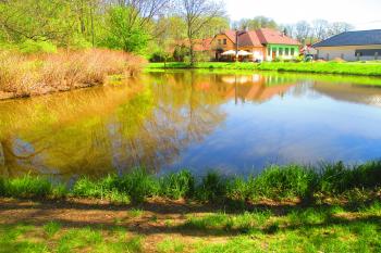 Březhradský rybník (Hradec Králové) (© Boris Jelínek 05/2023)