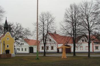  (© Alena Volná, 2/2007)