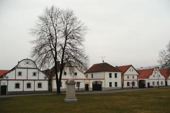  (© Alena Volná, 2/2007)