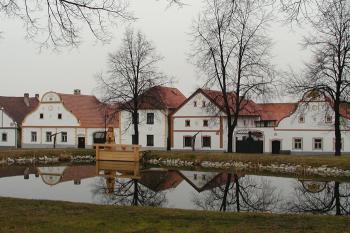  (© Alena Volná, 2/2007)