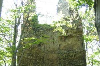 Kaltenštejn - střep bergfritu (2003 ©Puffin Puffin)